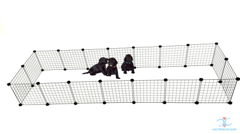 Large  dog pen CandC 7x2 250x75 cm