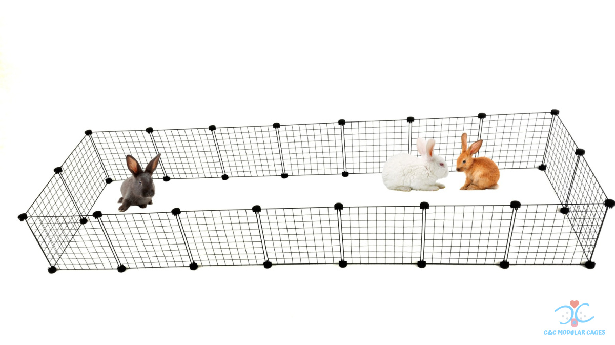Extra large rabbit enlosure C&C 7x2 250x75 cm Extra large rabbit enlosure C&C 7x2 250x75 cm
