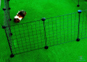 Large guinea pig run  CandC 4x3 145x110 cm