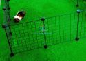 Outdoor guinea pig run CandC 5x2 180x75 cm